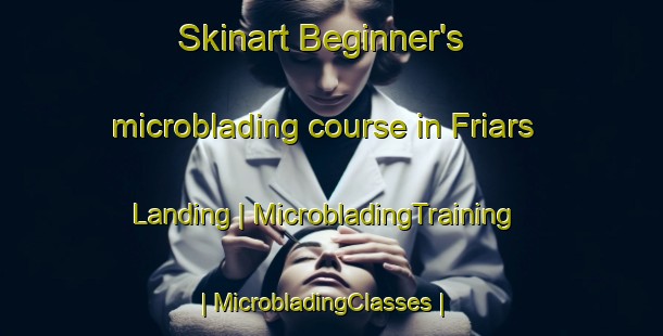 Skinart Beginner's microblading course in Friars Landing | MicrobladingTraining | MicrobladingClasses | SkinartTraining-United States